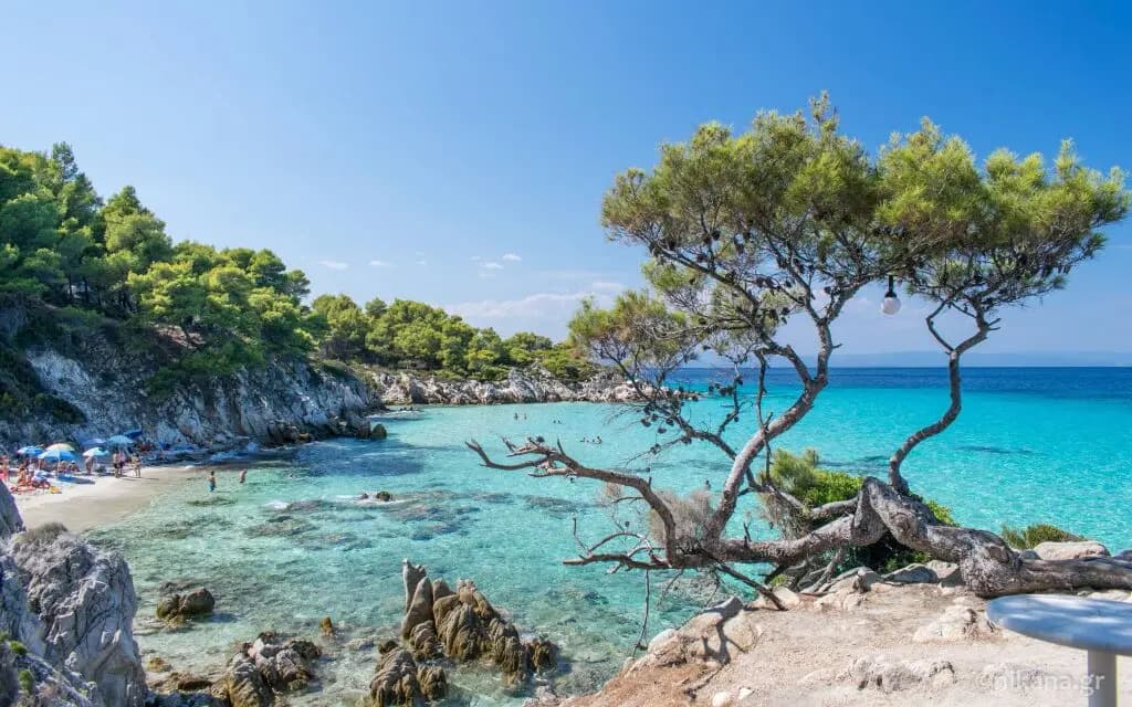 Πορτοκάλι (Orange)