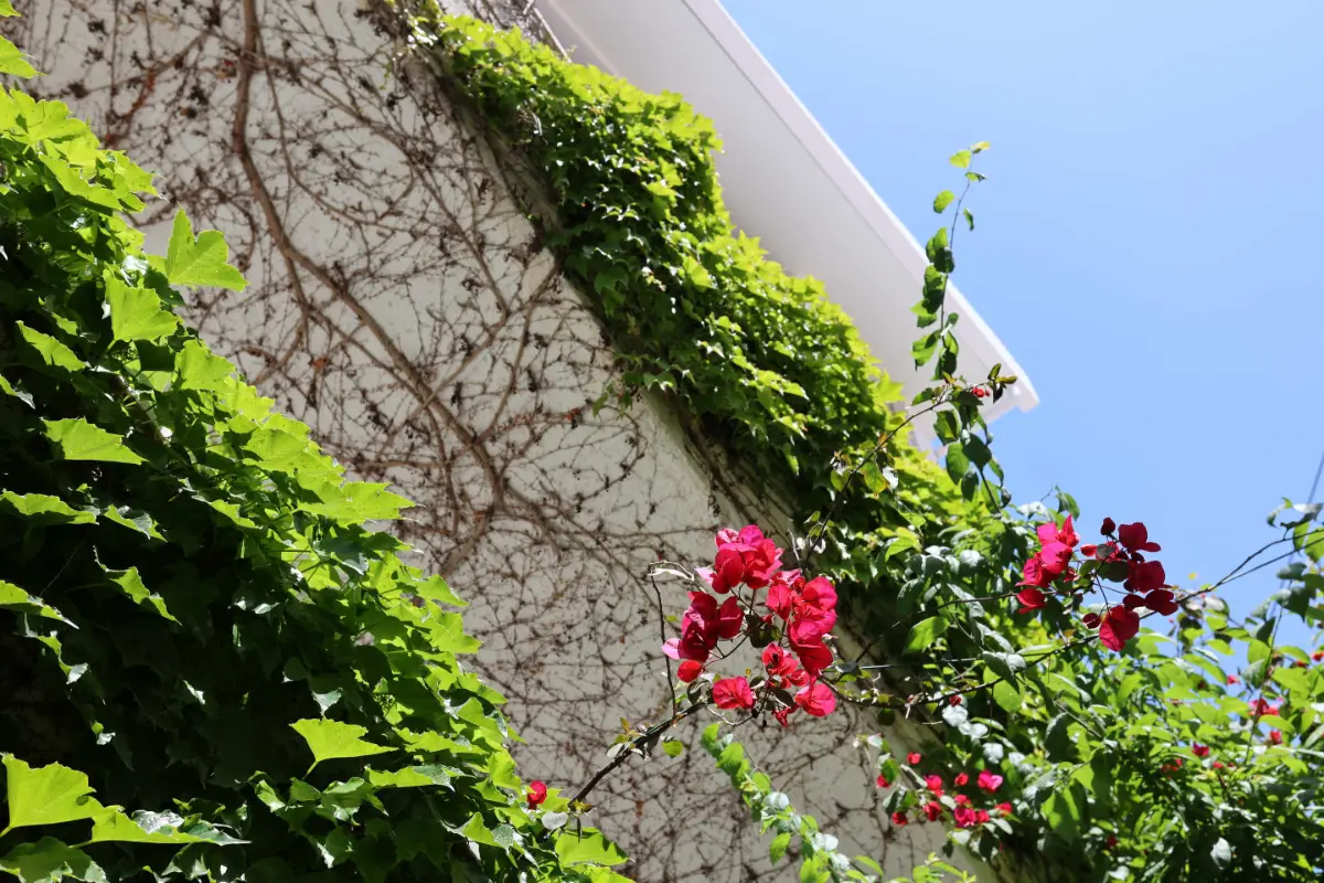 Olympic Kosmas Hotel 3* - Hanioti