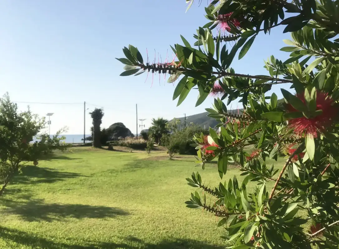 Nisaki Bay Bliss