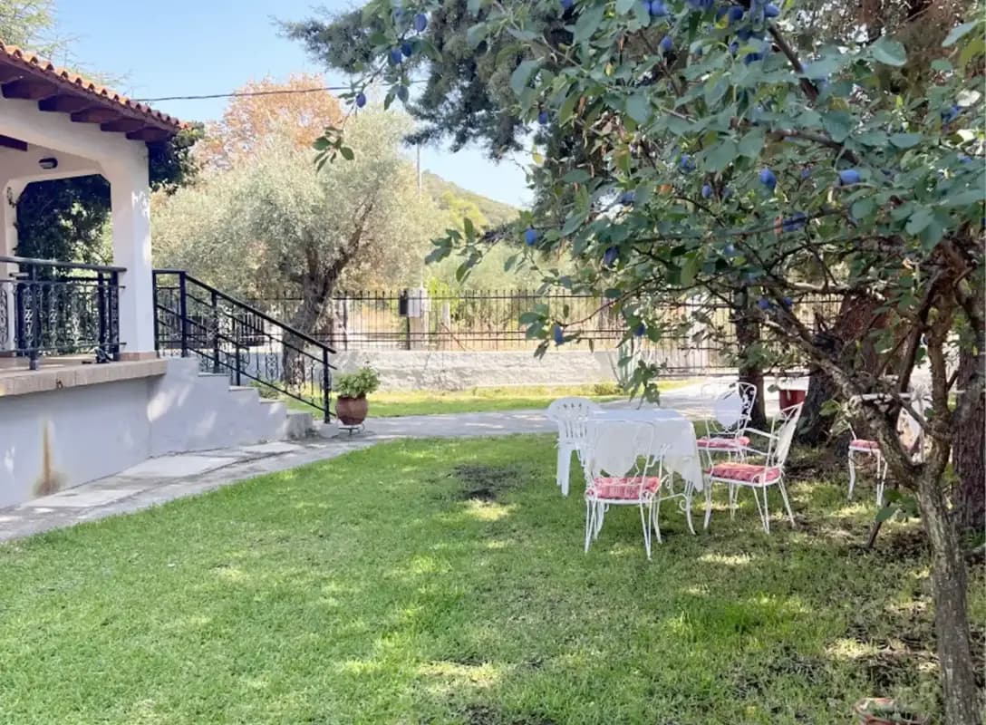Green Studio Toroni