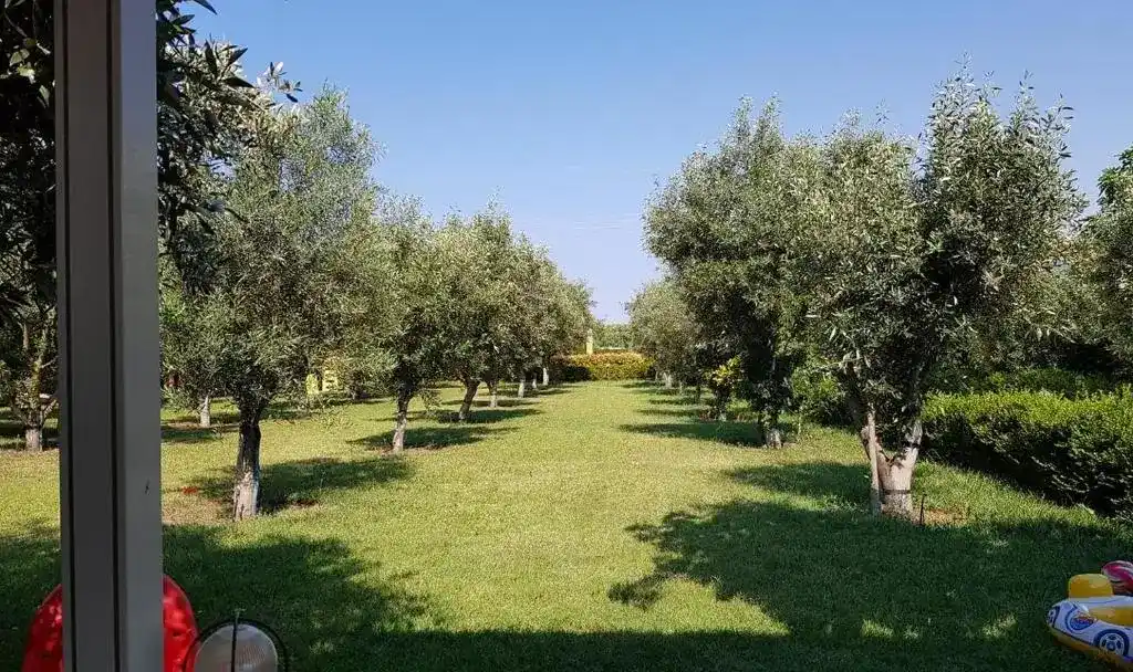 Gaia Studios & Apartments in Nea Plagia Chalkidiki